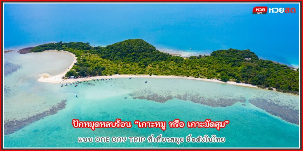 เกาะหมู