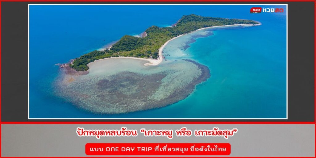 เกาะหมู