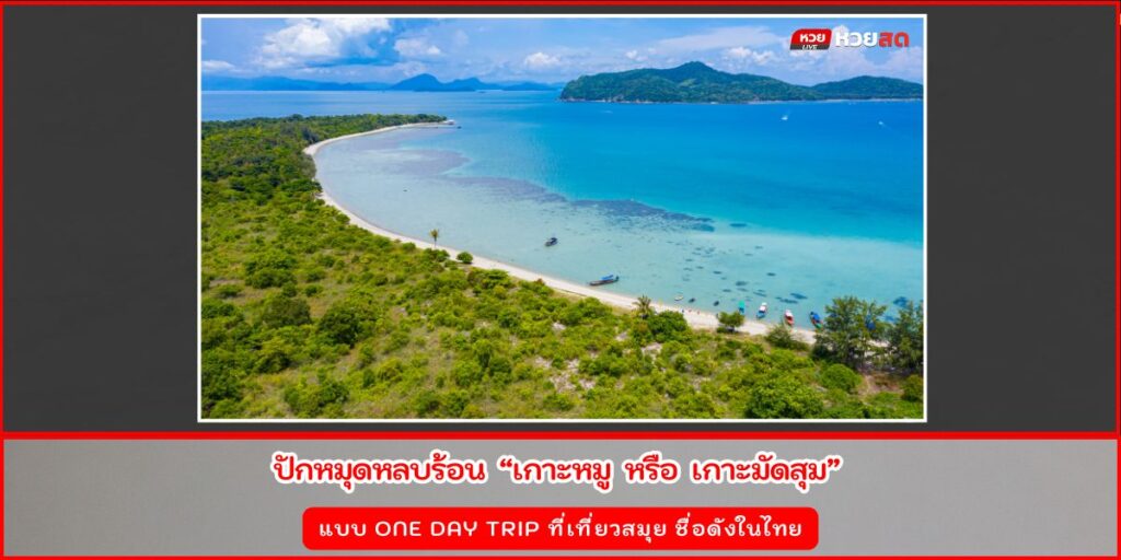 เกาะหมู