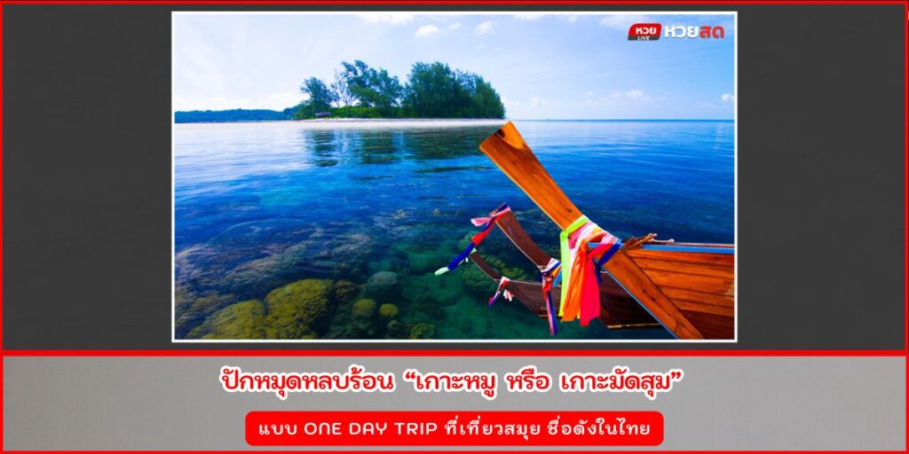 เกาะหมู