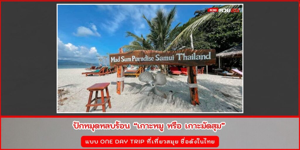 เกาะหมู