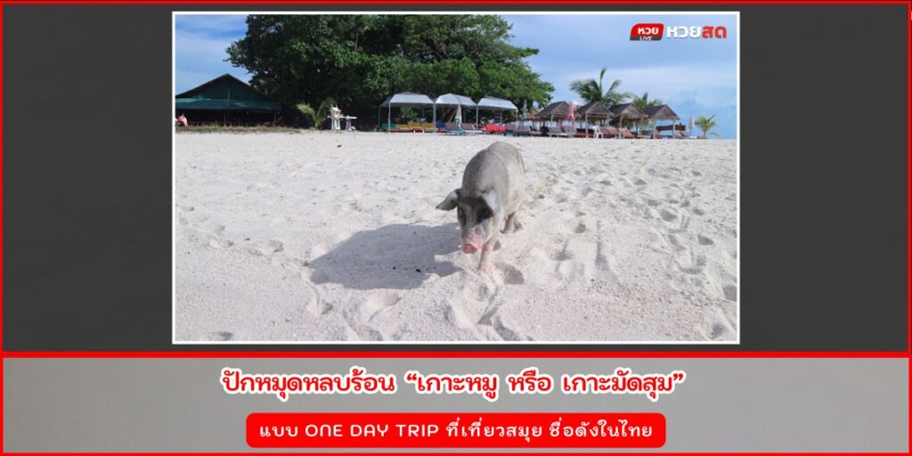 เกาะหมู