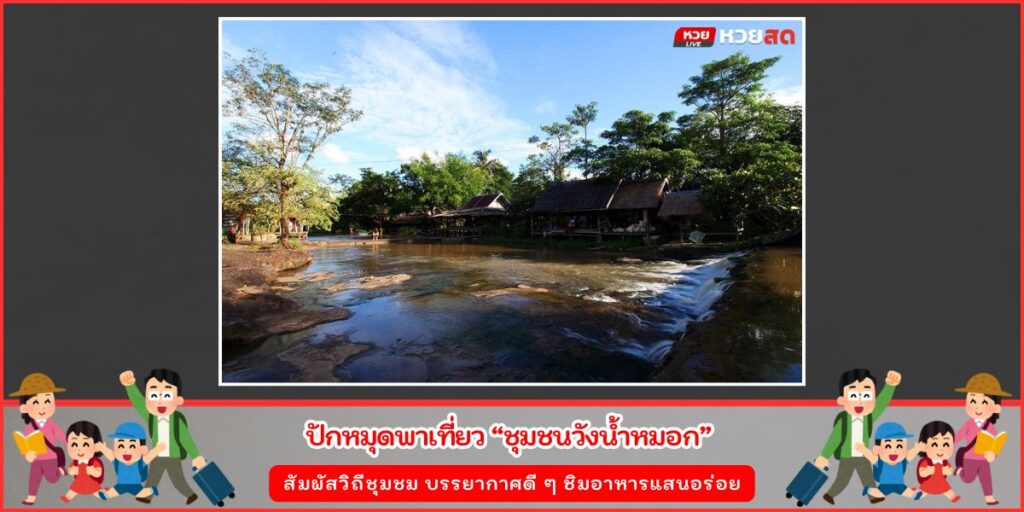 ชุมชนวังน้ำหมอก