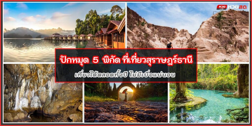 ที่เที่ยวสุราษฎร์