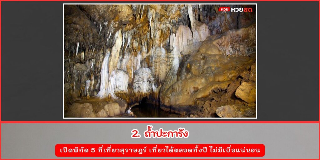 ที่เที่ยวสุราษฎร์
