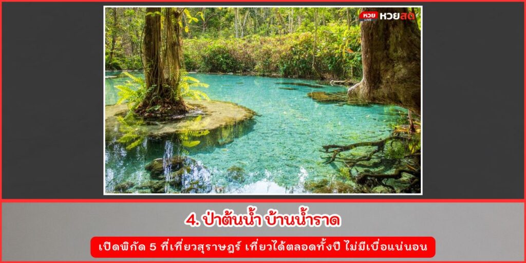 ที่เที่ยวสุราษฎร์