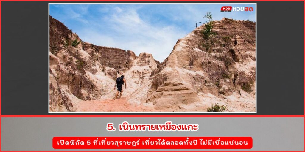 ที่เที่ยวสุราษฎร์