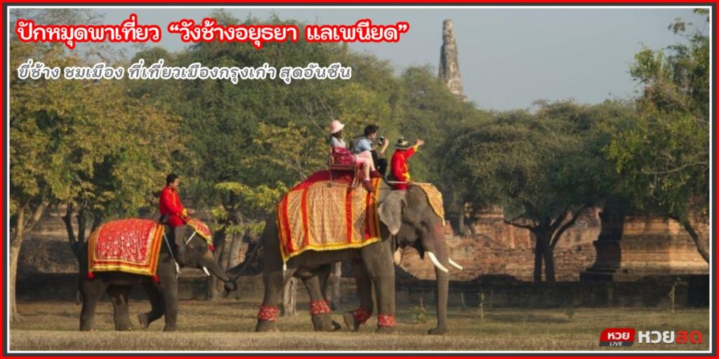 วังช้างอยุธยา