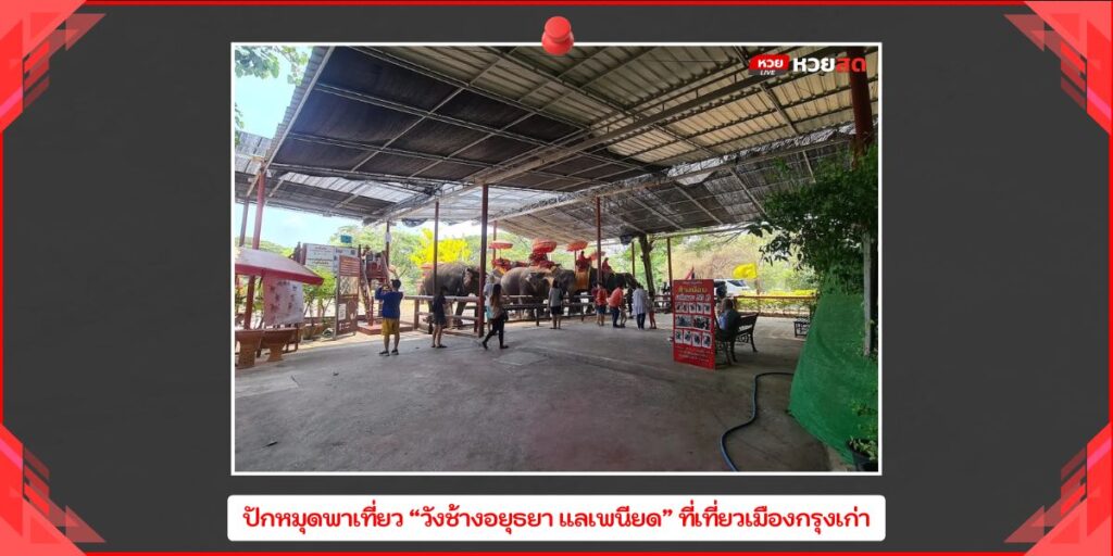 วังช้างอยุธยา