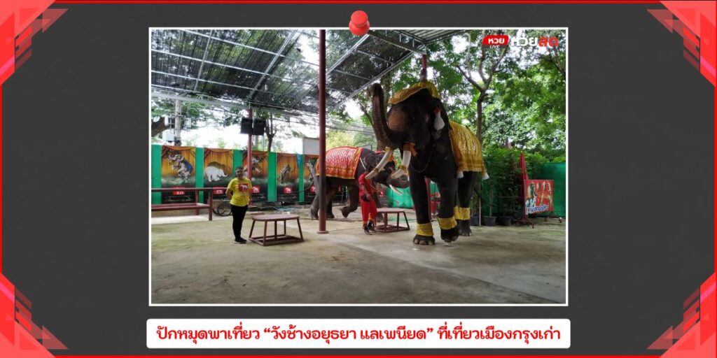 วังช้างอยุธยา