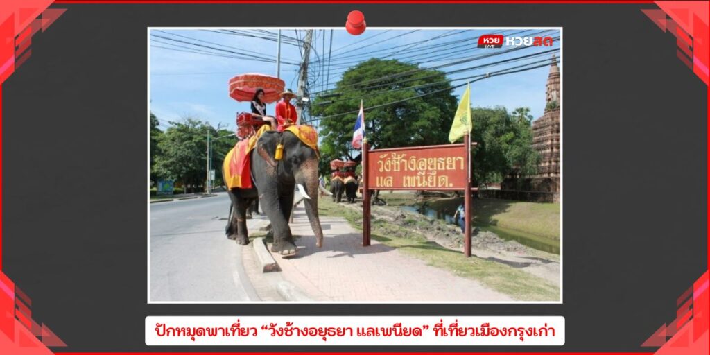 วังช้างอยุธยา