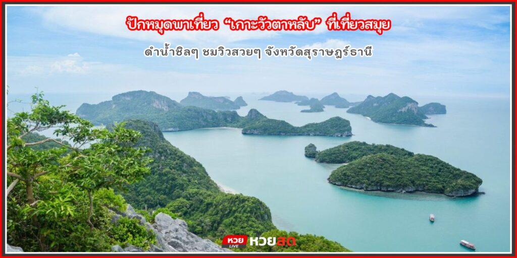 เกาะวัวตาหลับ