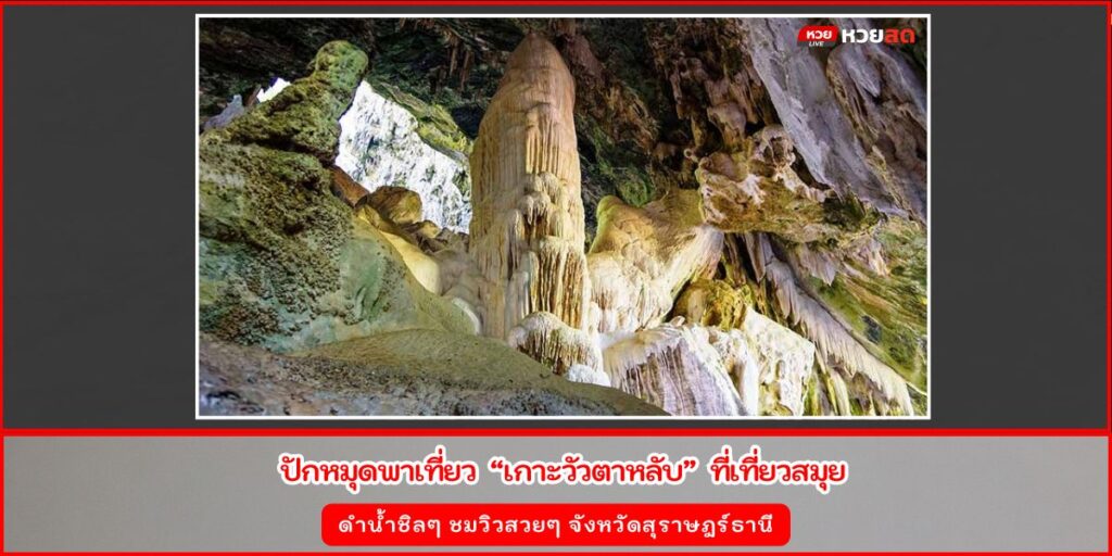 เกาะวัวตาหลับ
