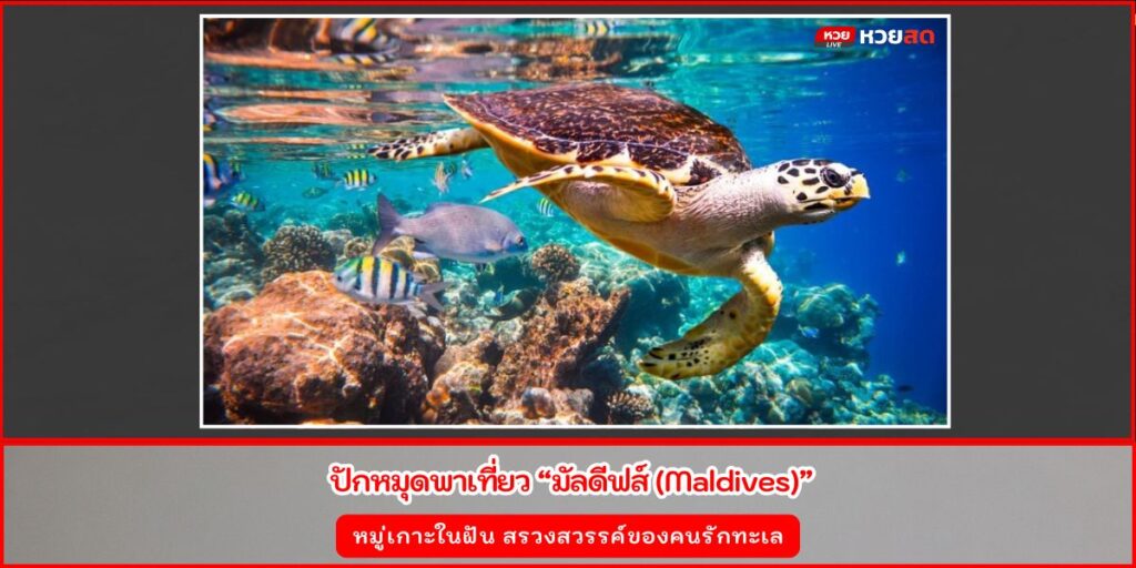 เที่ยวมัลดีฟส์