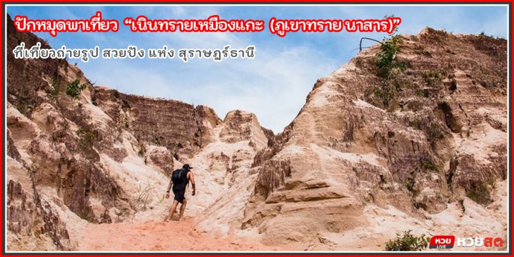 เนินทรายเหมืองแกะ