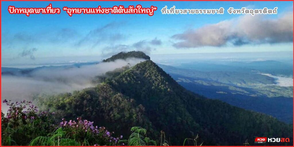 อุทยานแห่งชาติต้นสักใหญ่