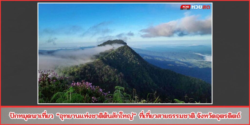 อุทยานแห่งชาติต้นสักใหญ่
