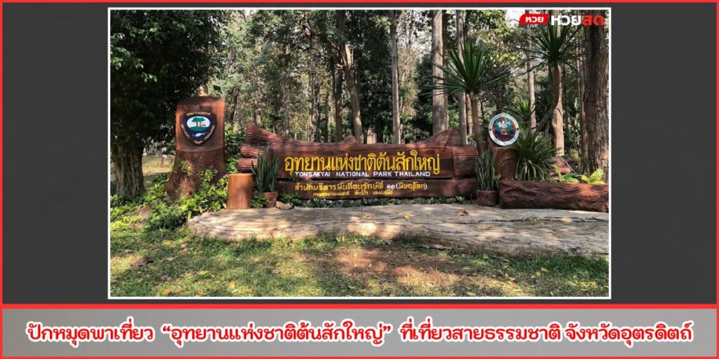อุทยานแห่งชาติต้นสักใหญ่