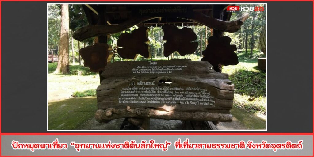อุทยานแห่งชาติต้นสักใหญ่