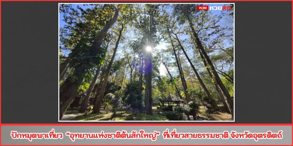 อุทยานแห่งชาติต้นสักใหญ่