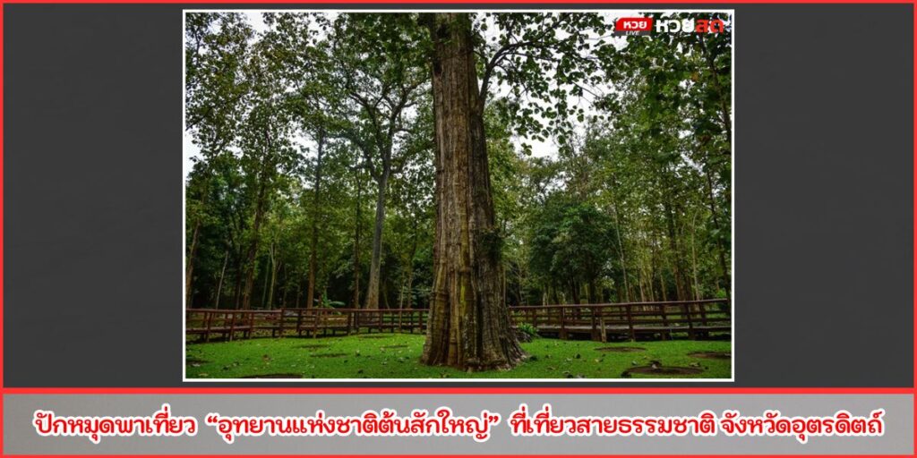 อุทยานแห่งชาติต้นสักใหญ่