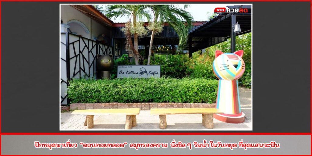 บ้านแมวไทย อัมพวา