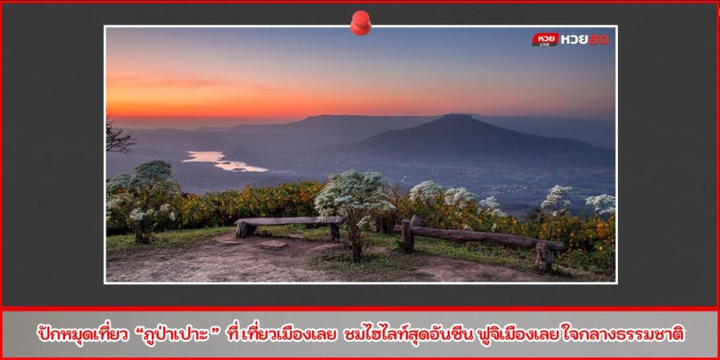 เว็บผลหวย