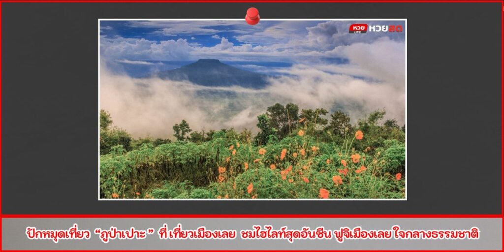 เว็บผลหวย