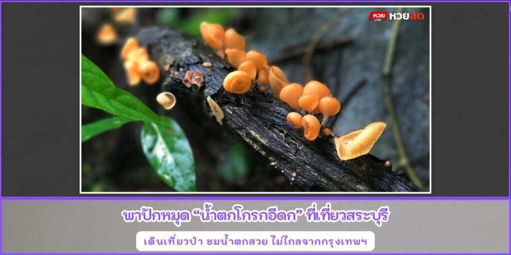 น้ำตกโกรกอีดก
