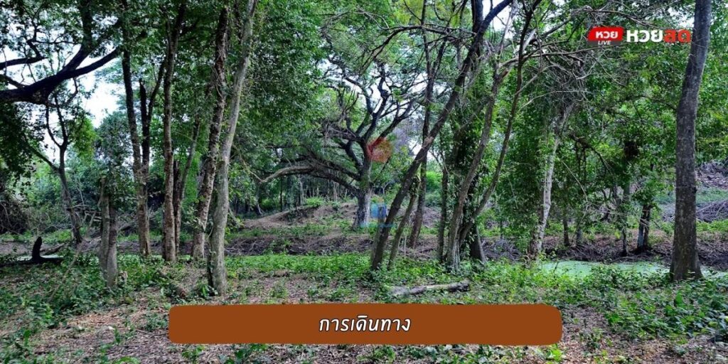 วัดลายสอ