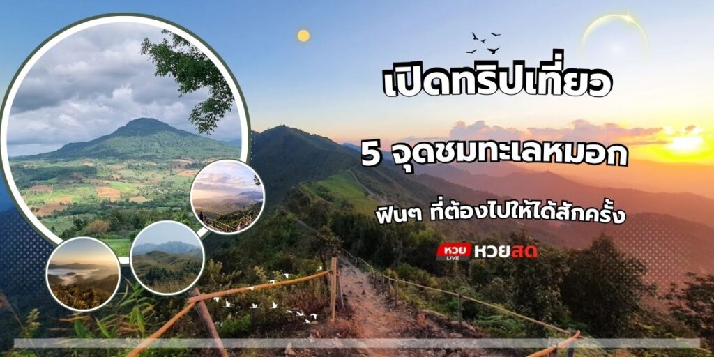 จุดชมทะเลหมอก