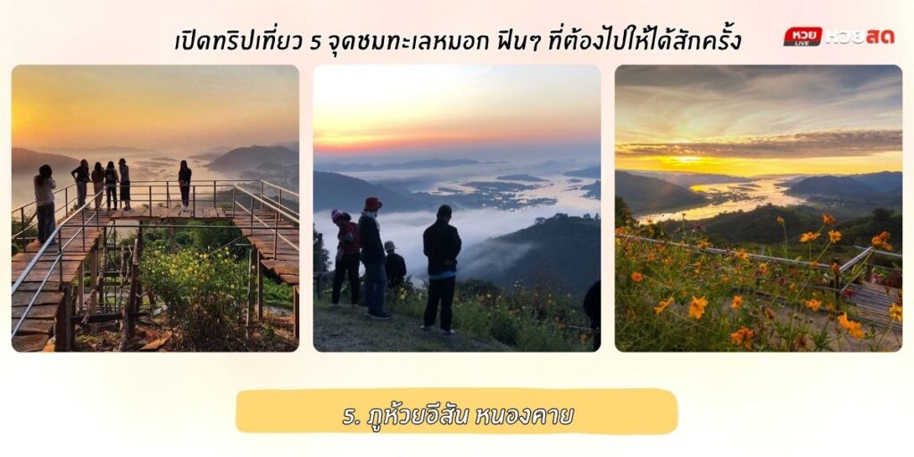 จุดชมทะเลหมอก