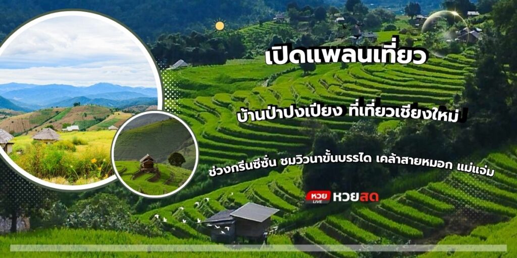 บ้านป่าปงเปียง