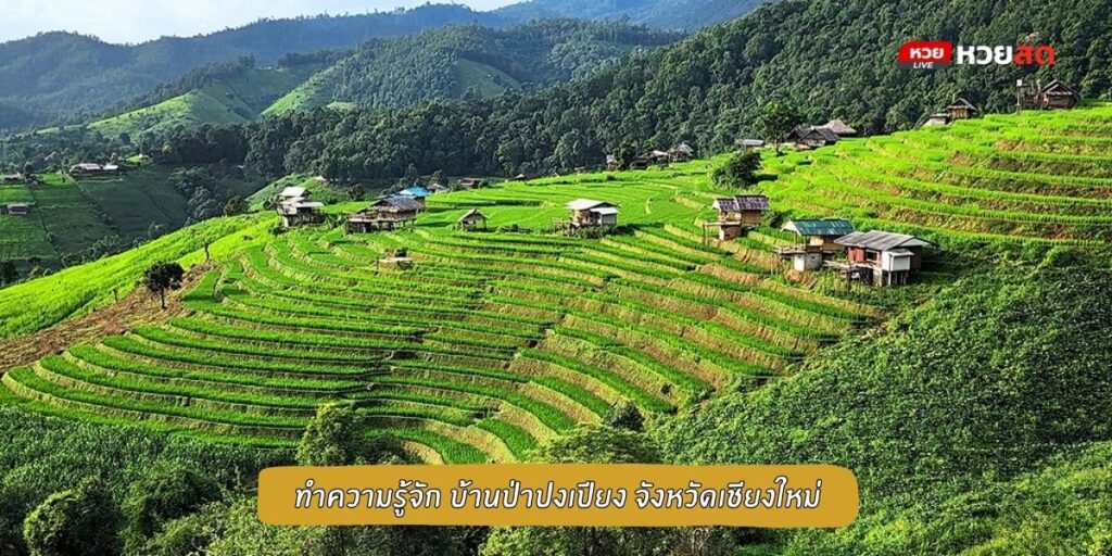 บ้านป่าบงเปียง