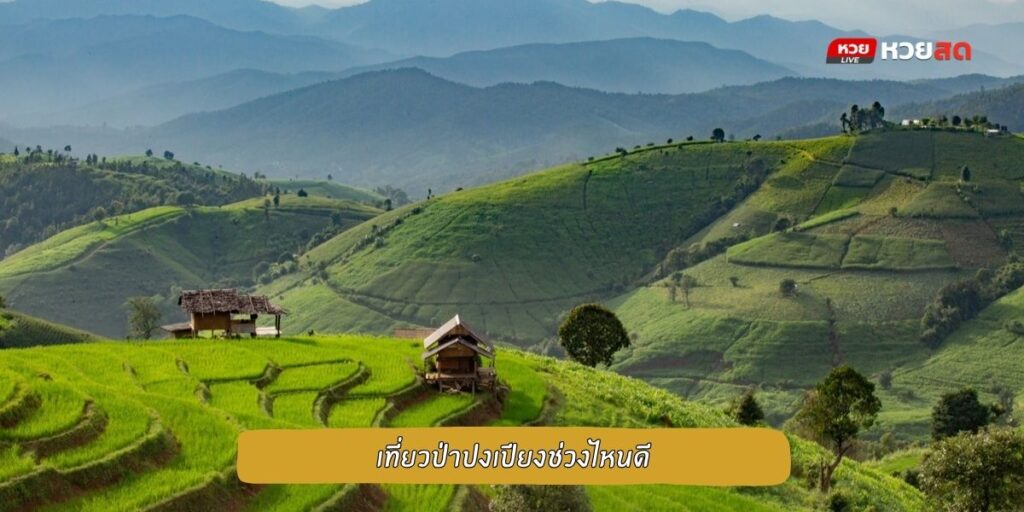 บ้านป่าบงเปียง