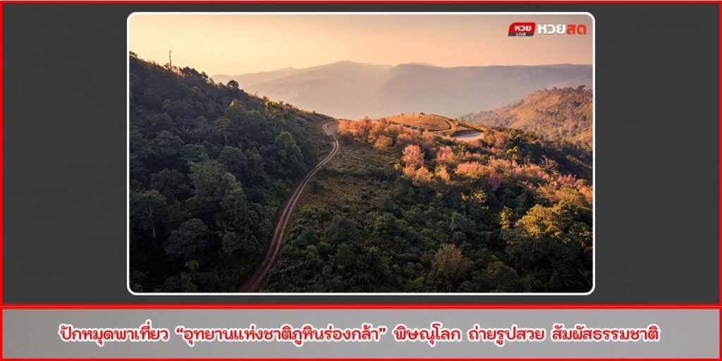 ภูหินร่องกล้า