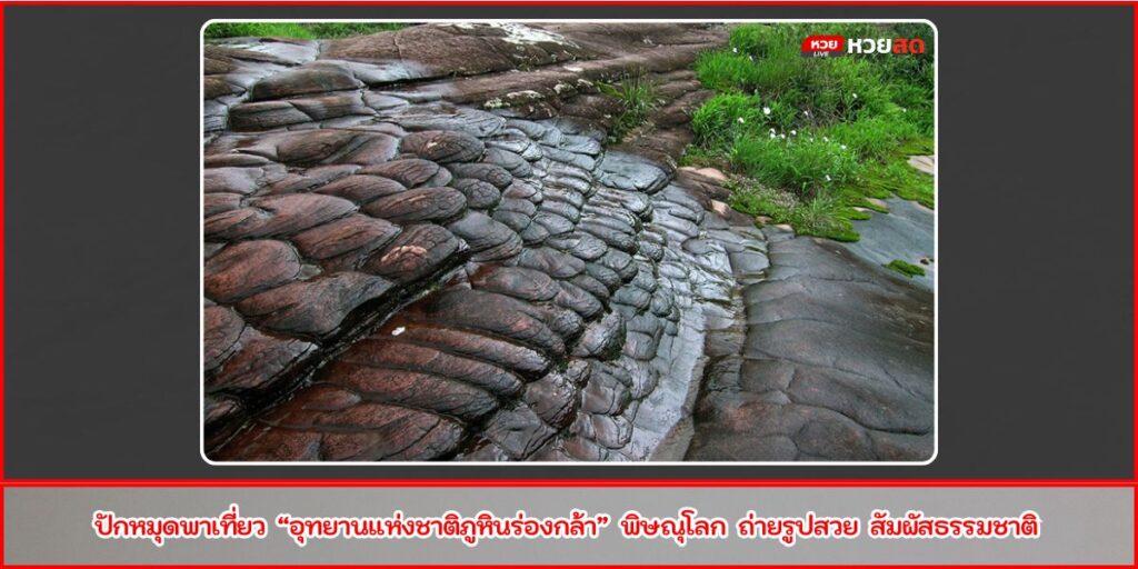 ภูหินร่องกล้า