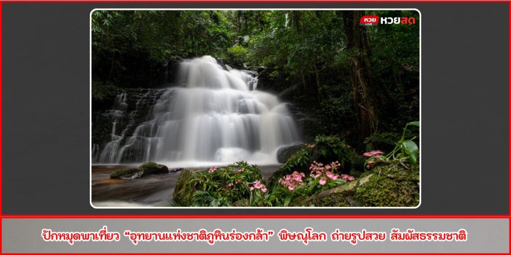 ภูหินร่องกล้า