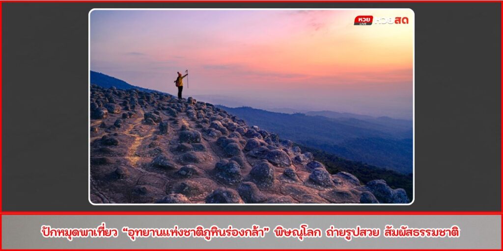 ภูหินร่องกล้า