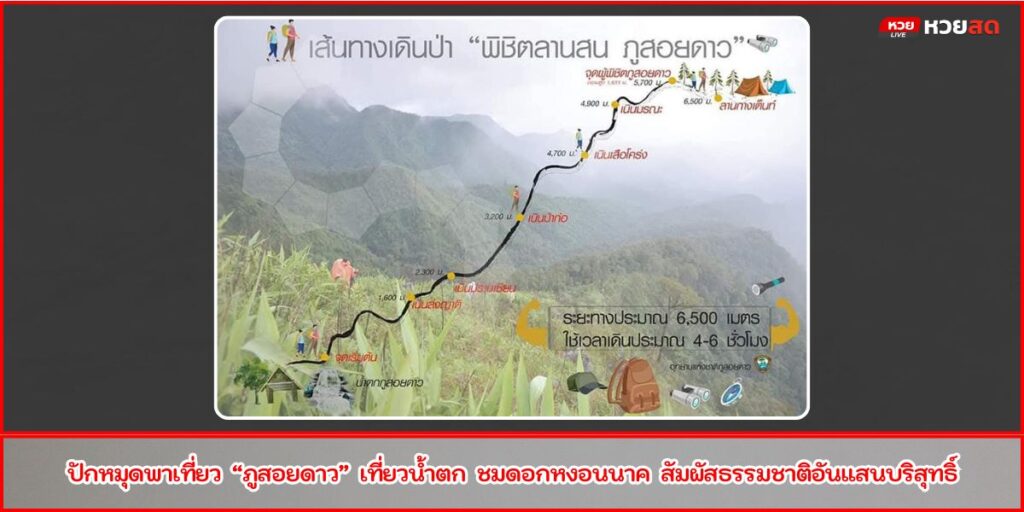 ลานสนภูสอยดาว