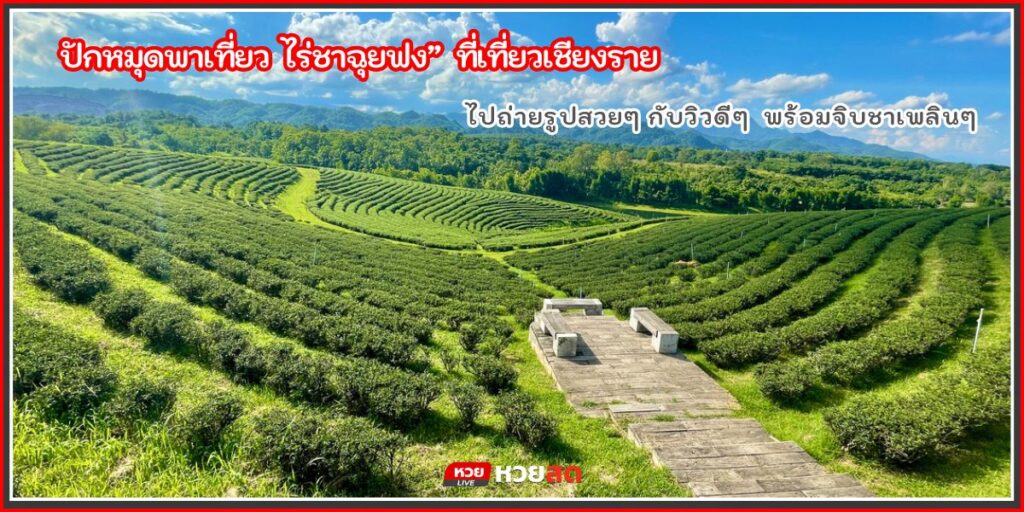 ไร่ชาฉุยฟง