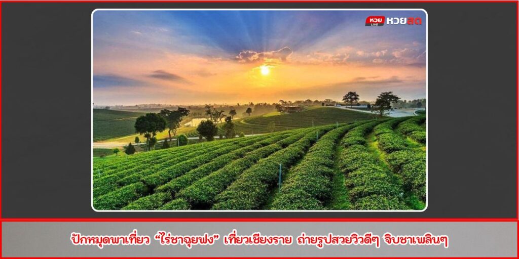 ไร่ชาฉุยฟง
