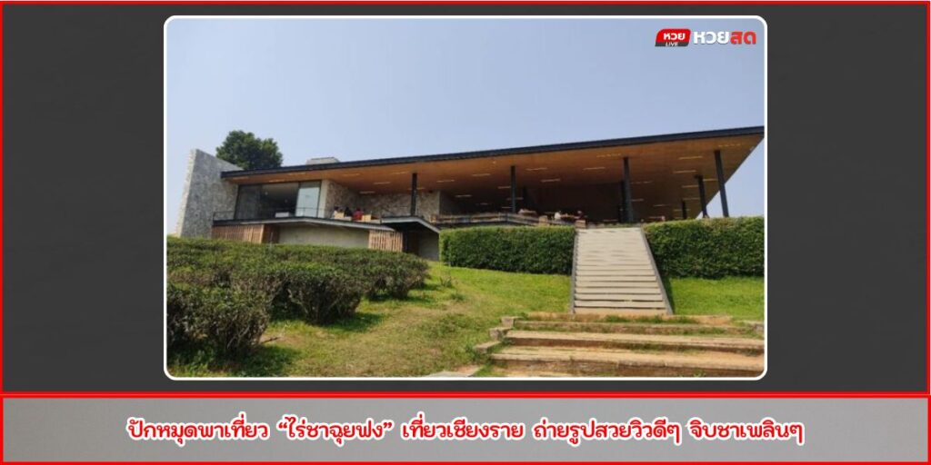 ไร่ชาฉุยฟง