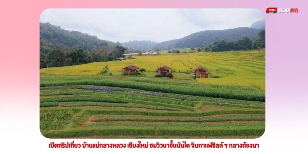 บ้านแม่กลางหลวง