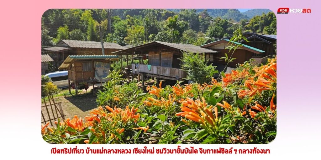 บ้านแม่กลางหลวง