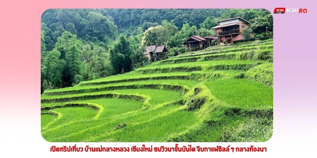 บ้านแม่กลางหลวง