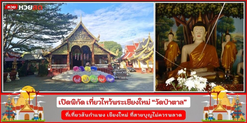 วัดป่าตาล