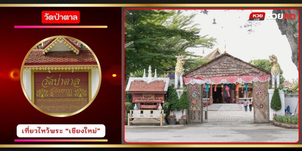 วัดป่าตาล