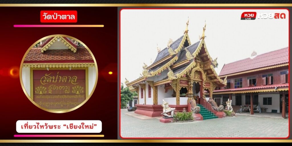 วัดป่าตาล