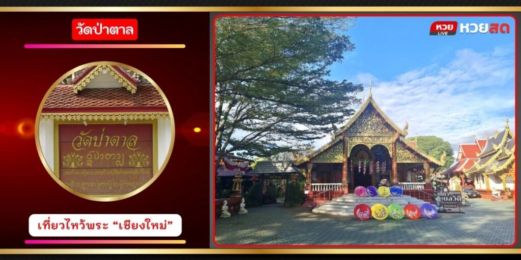 วัดป่าตาล